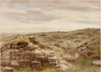 Ev eşyaları (gövde rengi) by Henry Burdon Richardson