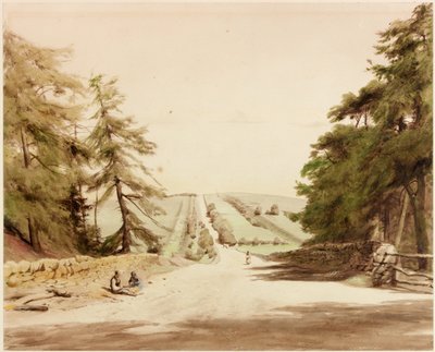 Kule - Taye (gövde rengi) by Henry Burdon Richardson