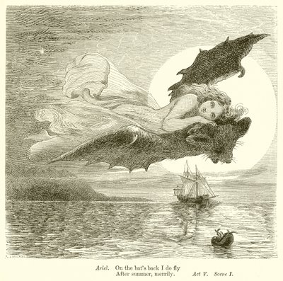 Fırtına by Henry Courtney Selous