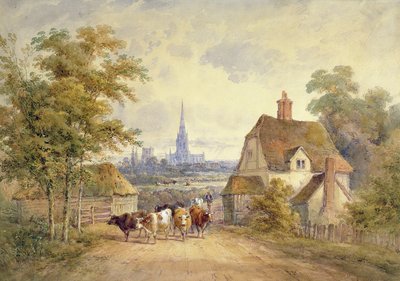 Chichester Katedrali, Sussex by Henry Earp