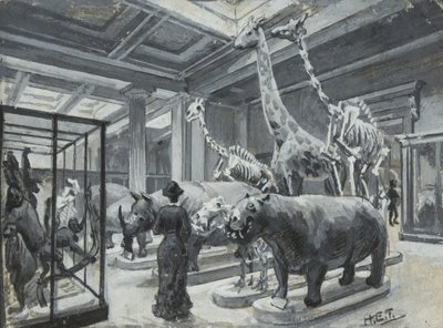 Hayvan sergileri içeren galeriyi gösteren British Museum