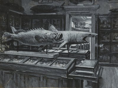 Balık sergileri galerisini gösteren British Museum