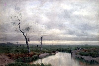Kıyı Bataklıkları (suluboya) by Henry Farrer