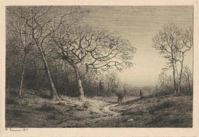 Aralık by Henry Farrer