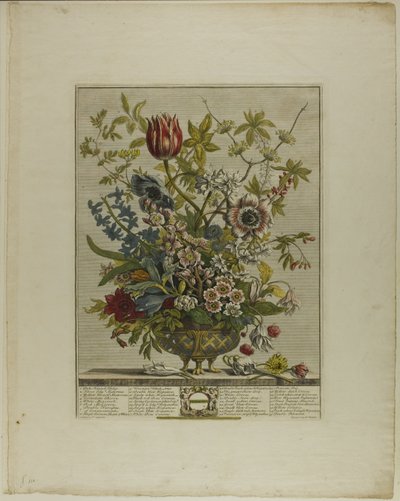 On İki Aylık Çiçeklerden Şubat by Henry Fletcher
