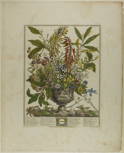 Ocak, On İki Aylık Çiçeklerden by Henry Fletcher