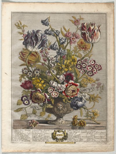 On İki Aylık Çiçekler: Nisan 1730. by Henry Fletcher