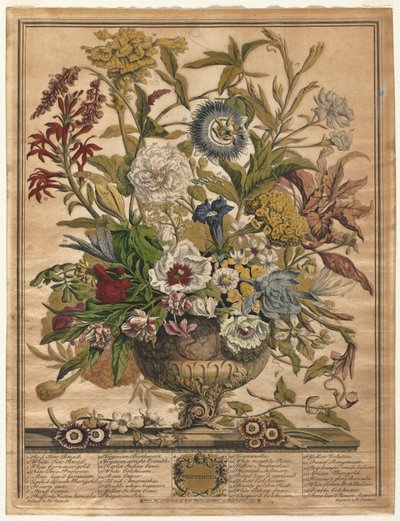 On İki Aylık Çiçekler: Eylül 1730. by Henry Fletcher