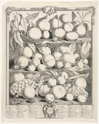 On İki Aylık Meyve: Ağustos 1732. by Henry Fletcher