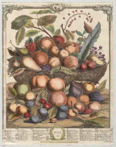 On İki Aylık Meyve: Temmuz, 1732. by Henry Fletcher