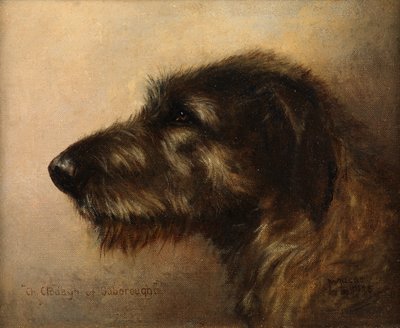 Ouborough Şampiyonu Clodagh, bir İrlanda Kurt Köpeği by Henry Frederick Lucas Lucas