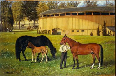 Fuar Alanındaki Eğitim Parkuru, 1887 by Henry H. Cross