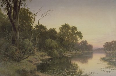 Murray Nehri