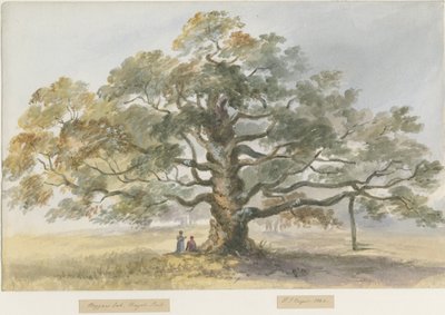 Blithfield - Dilenci Meşesi : sulu boya boyama, 1844 by Henry James Noyes