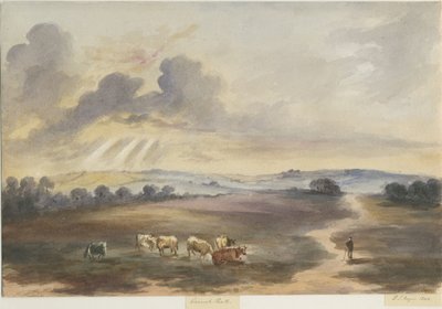 Cannock Chase - "Heath": sulu boya boyama, 1844 by Henry James Noyes