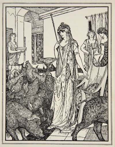 Circe, Domuz