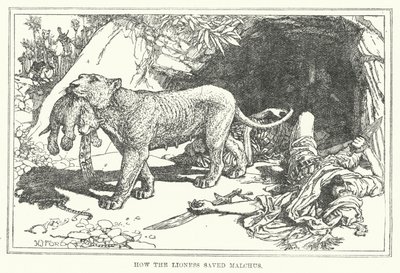 ಸಿಂಹಿಣಿ ಮಾಲ್ಚಸ್ (ಲಿಥೋ) ಟರ್ಕ್ ಅನ್ನು ಹೇಗೆ ಉಳಿಸಿತು by Henry Justice Ford