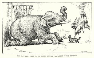  by Henry Justice Ford