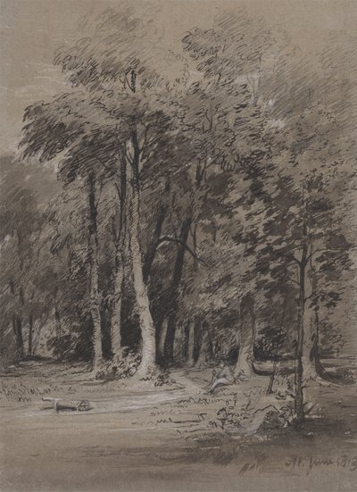 Ormanlık Bir Parkur by Henry Monro