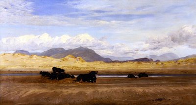 Kuzey Galler Sahili, Sığır Sahilde Basking by Henry Moore