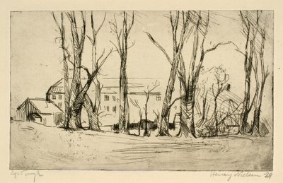 Büyük ağaçların arasında görülen hastane benzeri bina by Henry Nielsen