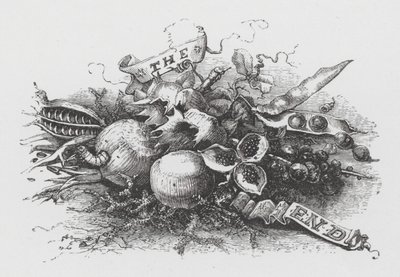 Son (gravür) by Henry Noel Humphreys