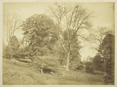 Kale Atış by Henry Peach Robinson