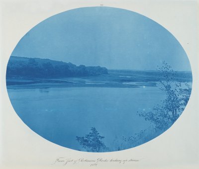 Robinson