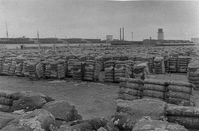 Moody Compress, Galveston (s/b fotoğraf) by Henry Stark