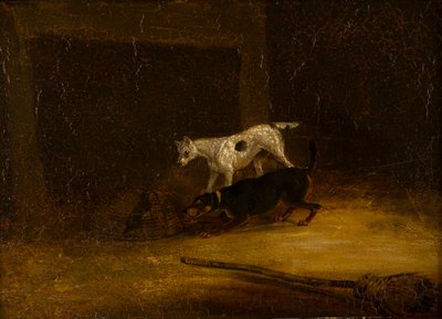 Tuzaktaki Fareye ulaşmaya çalışan iki Teriyer, c.1805-51 (panelde yağ) by Henry Thomas (follower of) Alken
