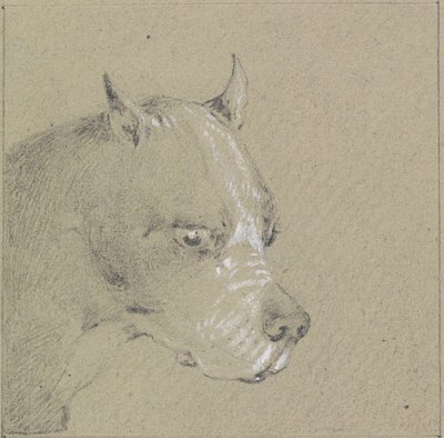 Bir boksör köpeğin başı ve omuzları (kağıt üzerinde beyazla yükseltilmiş grafit) by Henry Thomas Alken