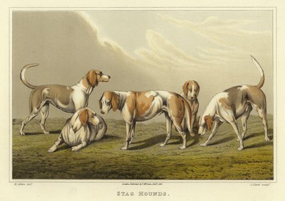 Geyik Av Köpekleri (kromolitho) by Henry Thomas Alken