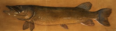 turna by Henry Thomson