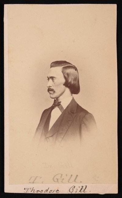 Theodore Nicholas Gill