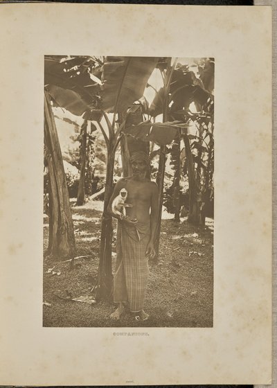 Yoldaşlar by Henry W. Cave