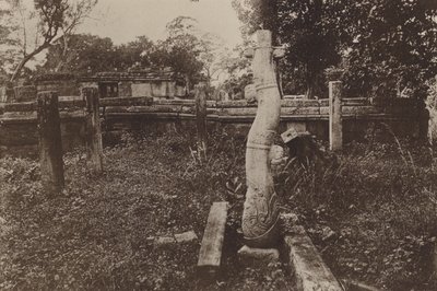 Ceylon