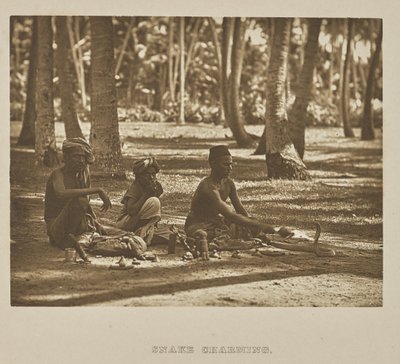 Büyüleyici Yılan by Henry W. Cave