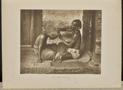 Tamil Berberi by Henry W. Cave