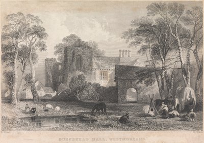 Burnshead Salonu, Westmorland; sayfa 45 (Birinci Cilt) by Henry Wallis