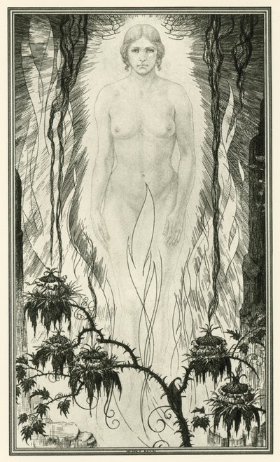 Beyaz Şeytan John Webster tarafından: Beyaz Şeytan (lito) by Henry Weston Keen