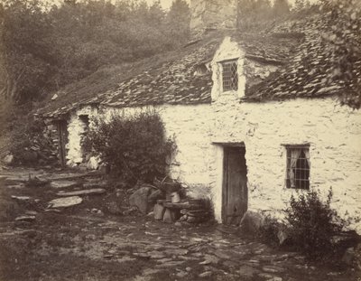  by Henry White