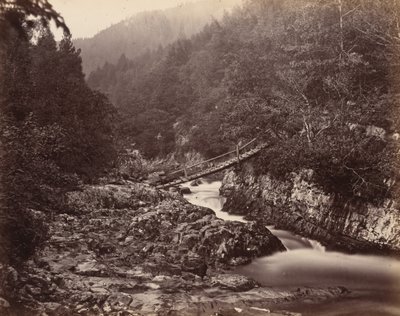 by Henry White
