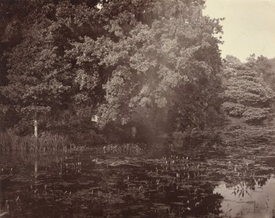  by Henry White