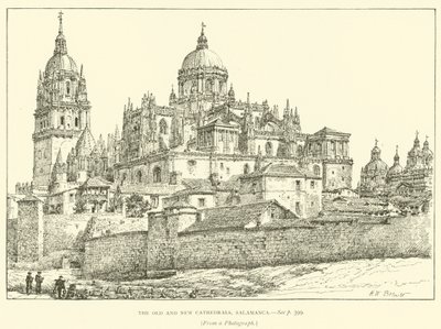 Eski ve Yeni Katedraller, Salamanca (gravür) by Henry William Brewer