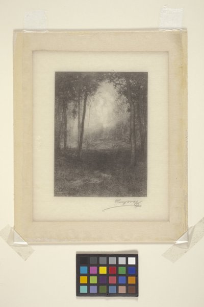 Adirondacks'ta (mürekkep) by Henry Wolf