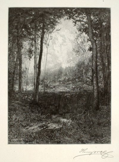  by Henry Wolf