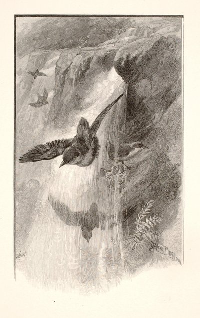  by Henry Wolf