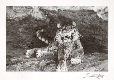 by Henry Wolf
