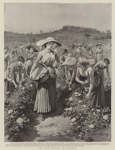 Floransa