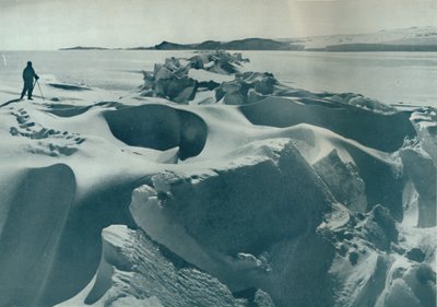 Cape Barne